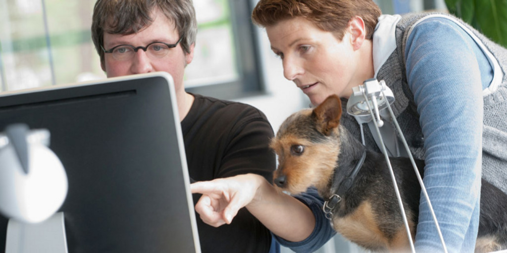 Person mit Hund erklärt einem Kollegen etwas am PC