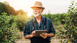 Ein Landwirt steht in einem Feld und hält ein Tablet in der Hand