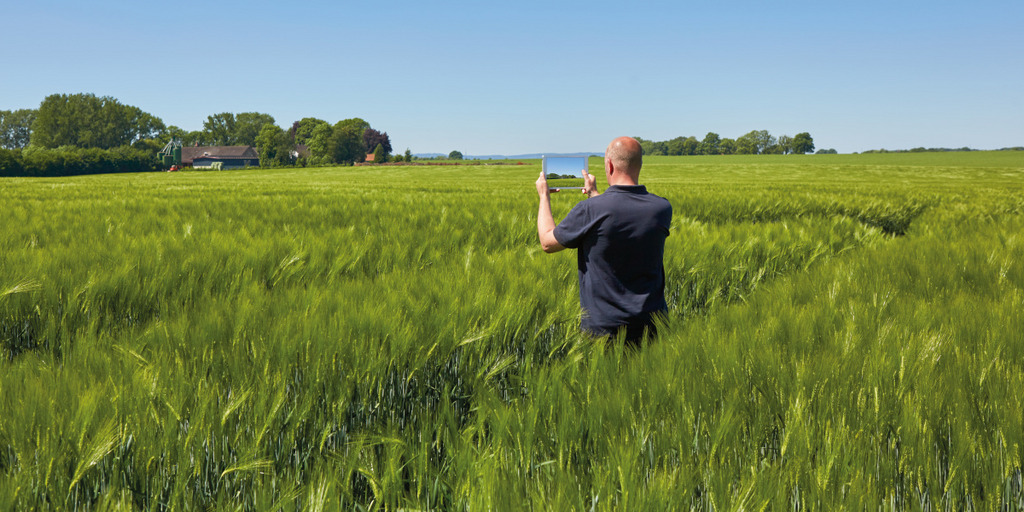 Ein Mann steht inmitten von hohem Gras, hält ein Tablet in der Hand und macht ein Foto.