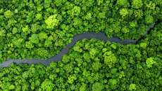 Aerial View of Lush Green Forest with Winding River Snaking Through(© stock.adobe.com/Nisit)