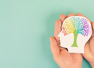Eine Person h&auml;lt einen Papierausschnitt in Form eines Kopfes in der Hand. In dem Kopf ist ein bunt eingef&auml;rbter Baum zu sehen, der sinnbildlich f&uuml;r mentale Gesundheit steht.