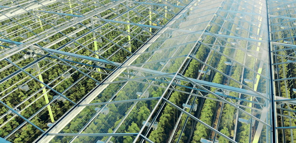 Green plantations shot through the transparent ceiling. Greenhouses aerial view, epic view on industrial glasshouse.(© © SVTeam - stock.adobe.com)