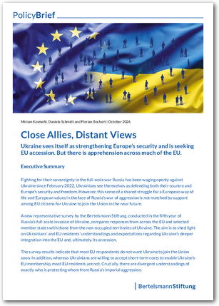 Close Allies, Distant Views