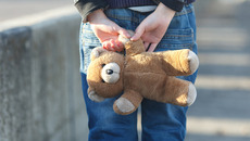 shutterstock_351995150_Premier.jpg_ST-WB(© Shutterstock / Roman Bodnarchuk)