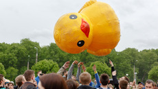 shutterstock_658448311_Premier_redaktionell.jpg_ST-EZ(© Shutterstock / Flower_Garden)