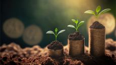 AdobeStock_586966376_KONZERN_ST-W.jpeg(© © Blue Planet Studio - stock.adobe.com)