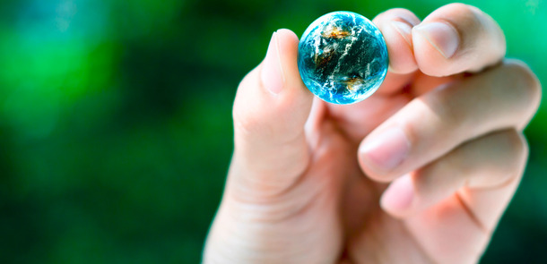 Shutterstock / ponsulak