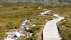 panthermedia_6340529_2336x3504.jpg(© PantherMedia / Thomas Klinke)