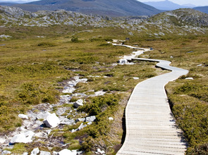 panthermedia_6340529_2336x3504.jpg(© PantherMedia / Thomas Klinke)