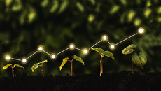 AdobeStock_391363534_KONZERN_be_ST-NW.jpg(© © mihacreative - stock.adobe.com)