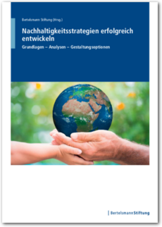 Cover Nachhaltigkeitsstrategien erfolgreich entwickeln - Grundlagen – Analysen – Gestaltungsoptionen
