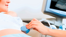 Shutterstock / Khakimullin Aleks