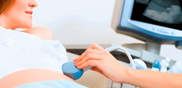 Shutterstock / Khakimullin Aleks