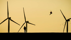 Niclas Dehmel / Unsplash - Unsplash License, https://unsplash.com/license