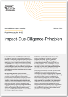 Cover Impact-Due-Diligence-Prinzipien