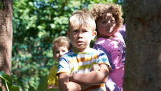 2019_06_27_DSC05478_ST_WB.jpg(© © Frank Springer)