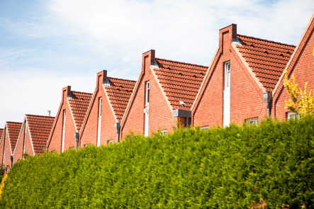 Dachreihe hinter einer Hecke