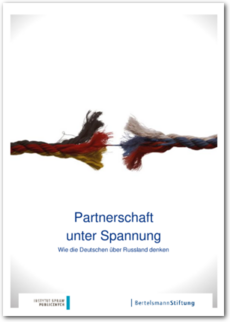 Cover Partnerschaft unter Spannung