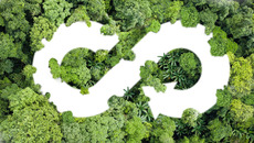 AdobeStock_529409931_KONZERN_ST-W(© © Deemerwha studio - stock.adobe.com)