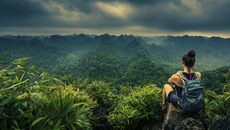 AdobeStock_306604283_KONZERN_ST-DG(© © Krzysztof Wiktor - stock.adobe.com)