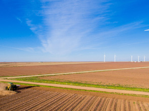 iStock-520611594_MPL_ST-EZ.jpg(© © Getty Images/iStockphoto/Steve Debenport)