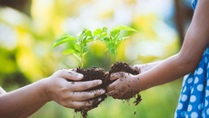 © pingpao - stock.adobe.com