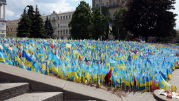 Ukrainian flags in support of the Military Forces of Ukraine in the center of Kyiv during the war with Russia; at the same time each flag is a symbol of every fallen soldier