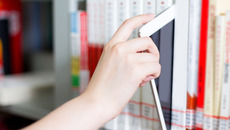 shutterstock_292314491_Premier.jpg_ST-K(© Shutterstock / zhu difeng)