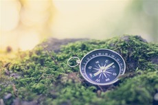 Zukunftsgerechte Politik