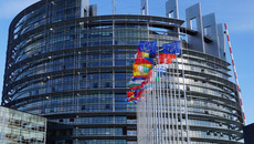 you_littleswine Moritz D. / Pixabay – Pixabay License, https://pixabay.com/de/service/license/