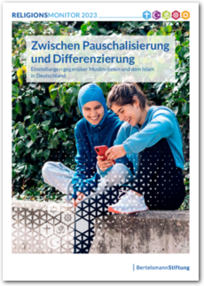 Cover Zwischen Pauschalisierung und Differenzierung