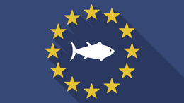 Illustration of a long shadow EU flag with a tuna fish