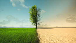 grüne Landschaft vs. Dürre