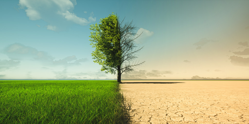 grüne Landschaft vs. Dürre