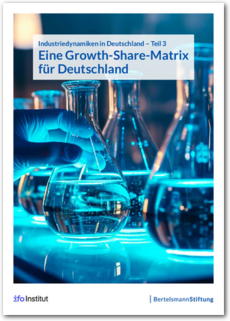 Cover Eine Growth-Share-Matrix für Deutschland