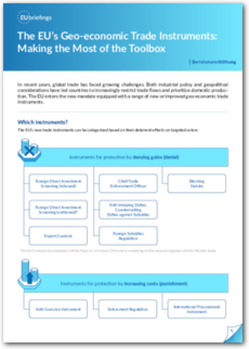 Cover The EU’s Geo-economic Trade Instruments: Making the Most of the Toolbox