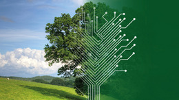 Naturbild mit Baum und zur Hälfte eine Grafik
