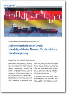 Cover Außenwirtschaft unter Druck: Handelspolitische Themen für die nächste Bundesregierung