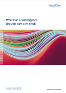 Cover What kind of convergence does the euro area need?