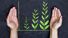 © weerapat1003 - stock.adobe.com