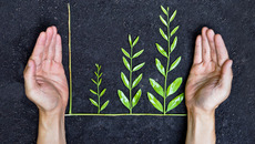 AdobeStock_62708424_KONZERN_ST-CC_be.jpg(© © weerapat1003 - stock.adobe.com)