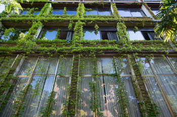 Fensterfront
