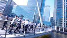 shutterstock_291897917_Premier.jpg_ST-K(© Shutterstock / alice-photo)