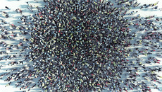 © adimas - stock.adobe.com