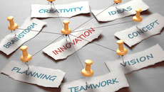 shutterstock_Premier_bear_189050870.jpg_ST-BS(© Shutterstock / ktsdesign)