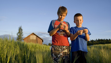 shutterstock_5341546.jpg(© © Mika Heittola / Shutterstock Images)