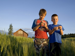 shutterstock_5341546.jpg(© © Mika Heittola / Shutterstock Images)