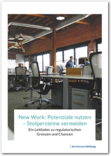 Cover New Work: Potentiale nutzen - Stolpersteine vermeiden