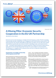 Cover A Missing Pillar: Economic Security in the EU-UK Partnership