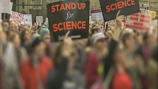 Demonstrating people hold up posters(© <p>© afishman64 - stock.adobe.com</p>)